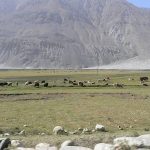 پہلی بار افغانستان کا چین کے ساتھ براہ راست زمینی راستہ قائم