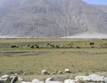 پہلی بار افغانستان کا چین کے ساتھ براہ راست زمینی راستہ قائم