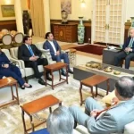 وزیر اعظم اور پی پی وفد کے درمیان ملاقات جاری ہے(فائل فوٹو)