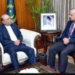 صدر زرداری اور وزیر اعظم شہباز شریف کے درمیان ملاقات کی فائل فوٹو